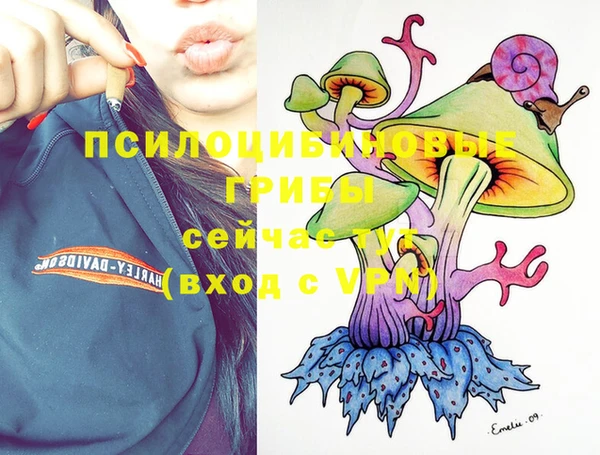 кокаин премиум Шадринск