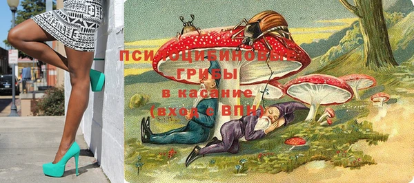 МДПВ Абаза
